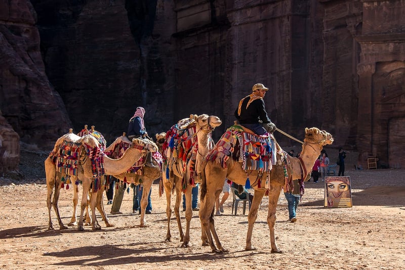 Cultural Evolution Exploration