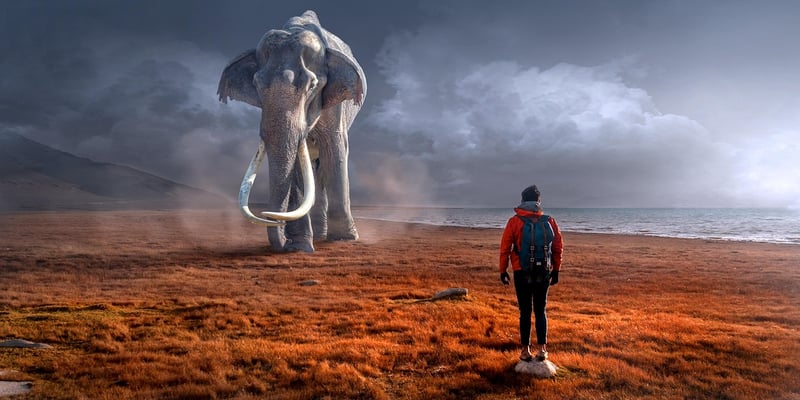 Dinosaur Encounter